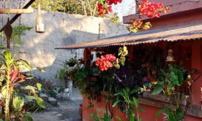 Casa E Natureza Exub...