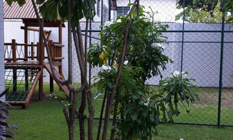 Apartamento No Bairr...