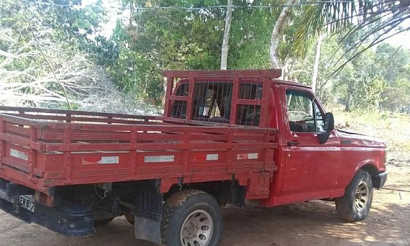 Ford F.1000S Mwm 229...