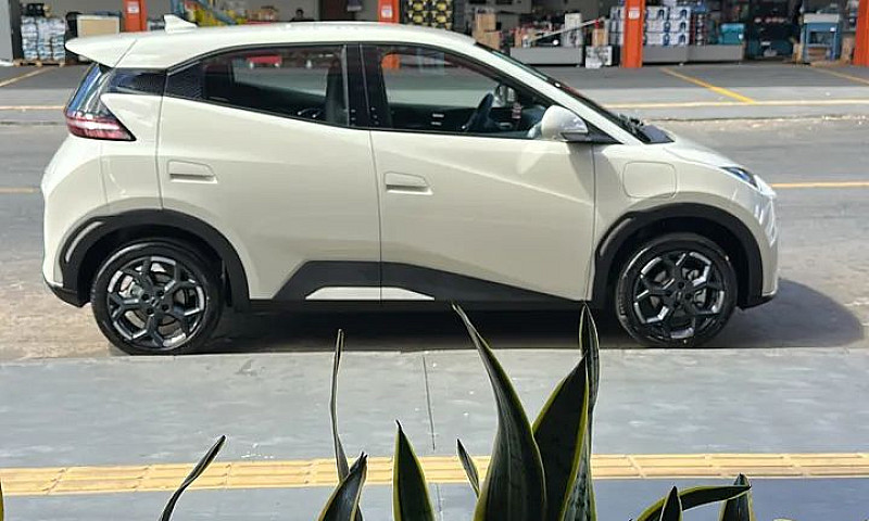 Byd Dolphin Mini (El...