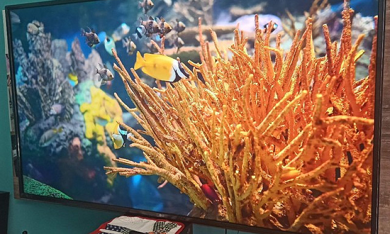 Lg 60 Polegadas 4K S...