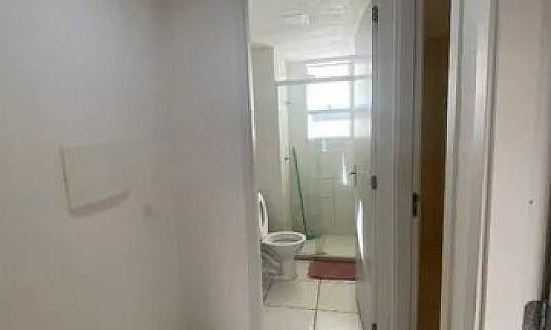 Dl Apartamento No Co...