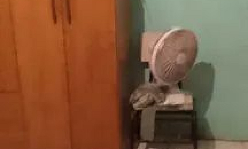 Barracão Venda Ou Tr...