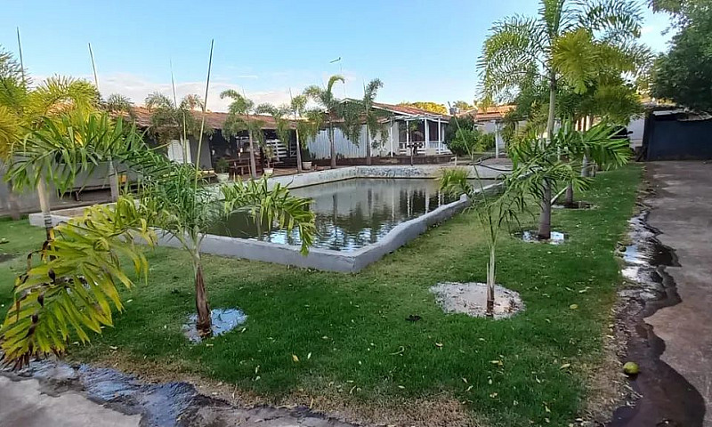Aluga-Se Casas Em Pe...