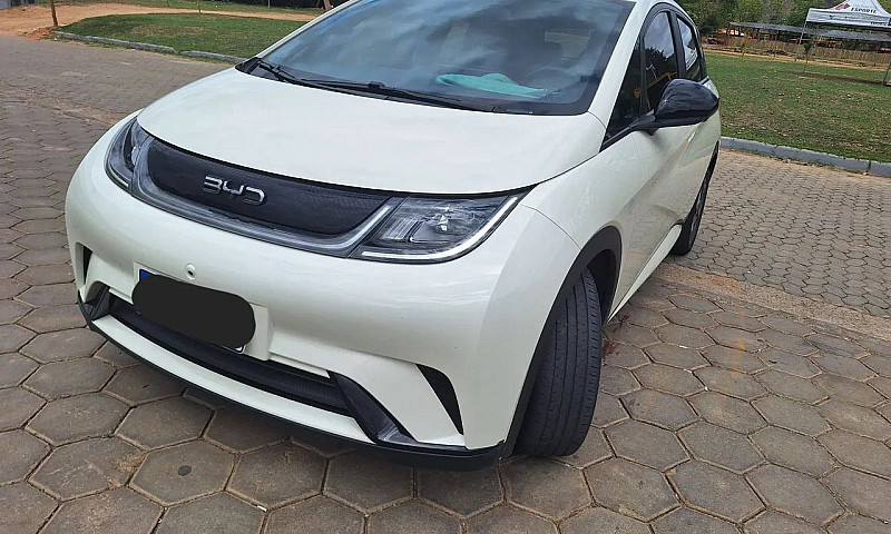 Byd Dolphin Ev (Elét...