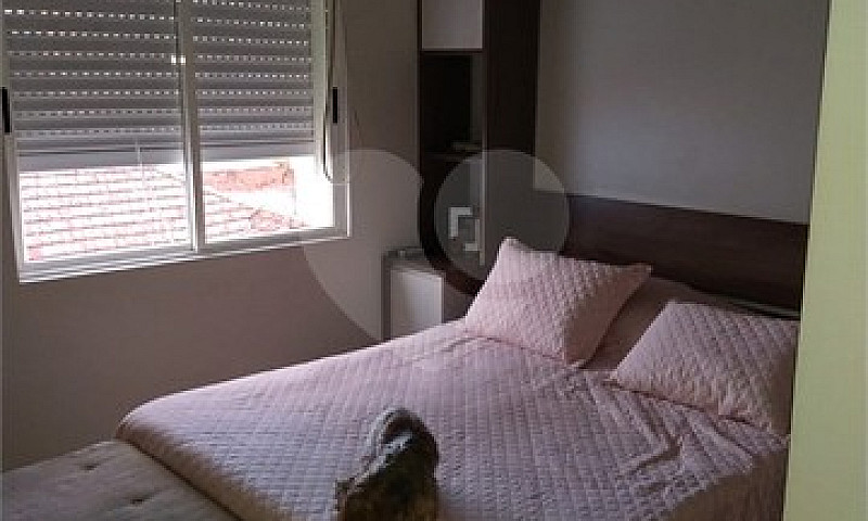 Casa-Porto Alegre-Sã...