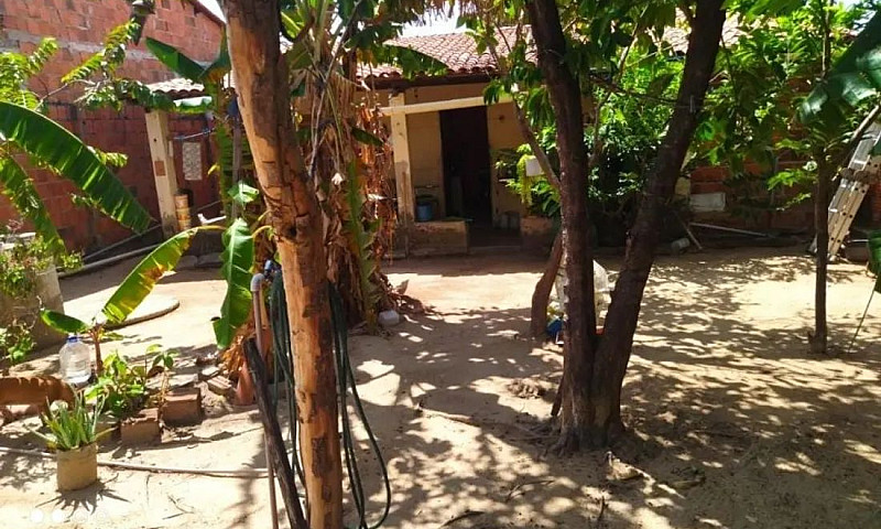 Casa A Venda No Plan...