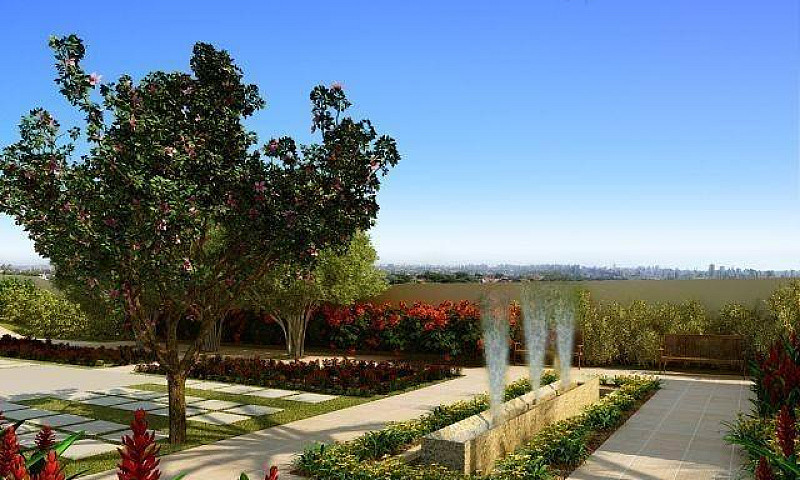 Bosque De Flores 2 E...
