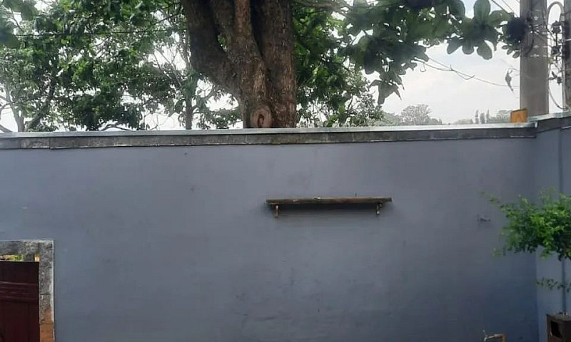  Jd  São Marcos / Va...