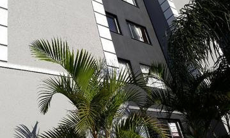 Apartamento No Boa V...