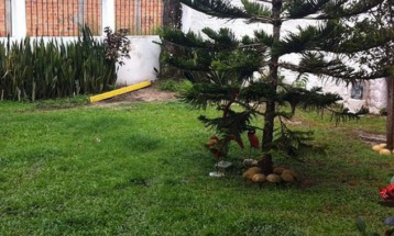 Mosqueiro Aluguel Te...