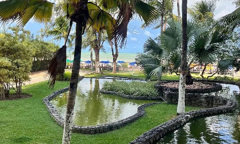 Ocasião Unica App. F...