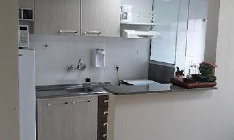 Apartamento No Boa V...