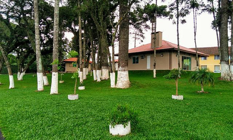Vendo Apartamento...