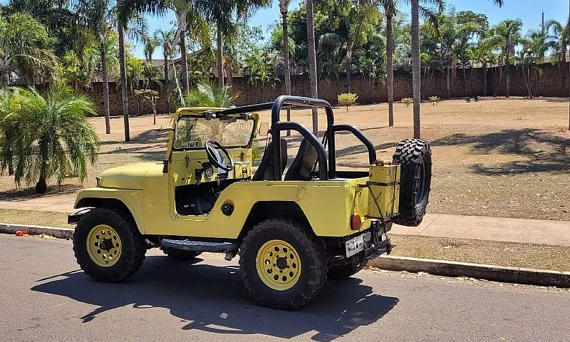 Jeep Willys 1959 Rai...