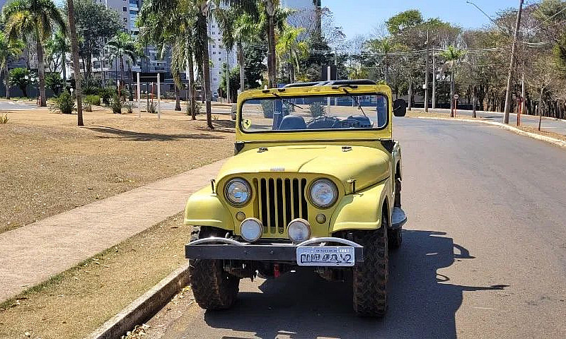 Jeep Willys 1959 Rai...