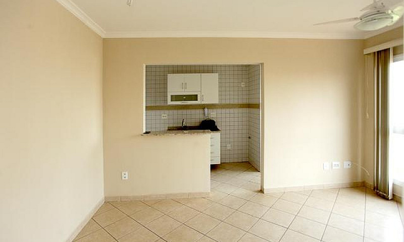 Apartamento - Jardim...