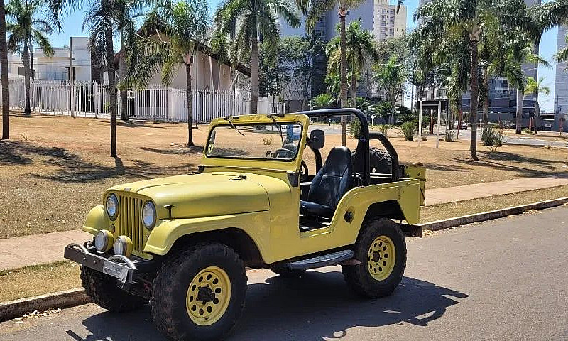 Jeep Willys 1959 Rai...