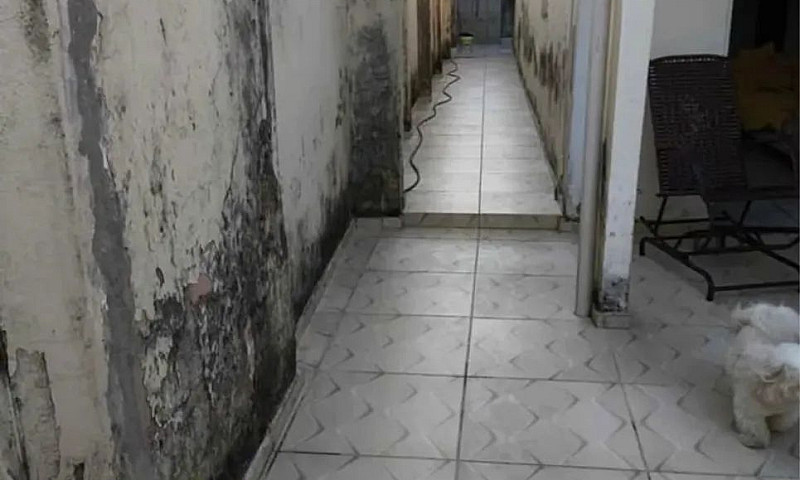 10 Casa Na Cidade Op...