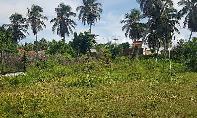 Terreno, Praia De Pi...