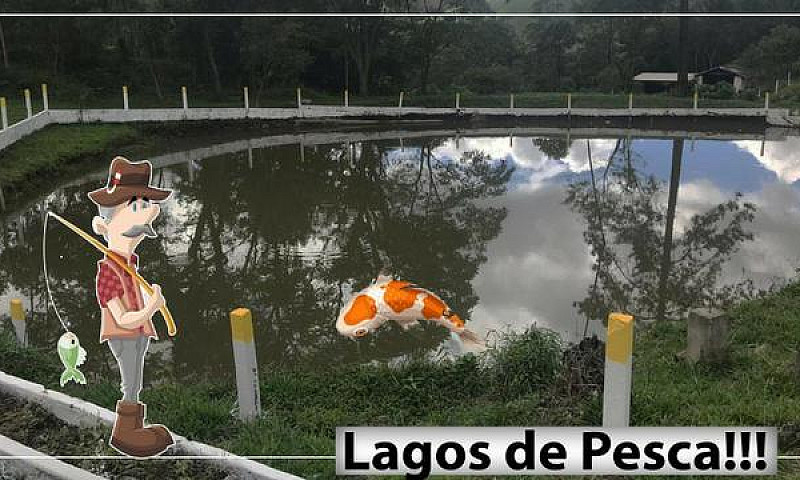 Casa A Venda Com Pis...