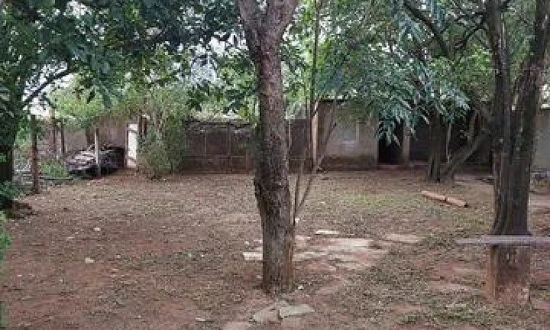 Casa No Jardim Colum...