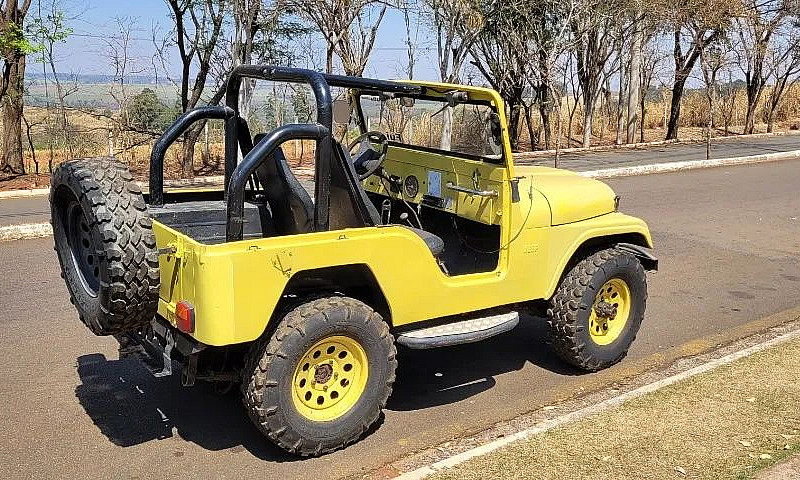 Jeep Willys 1959 Rai...