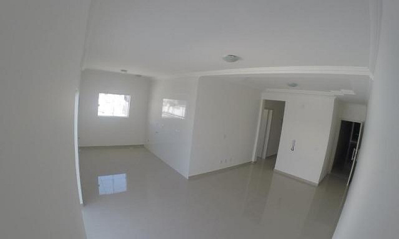 Ingleses-Sc/Bonita C...