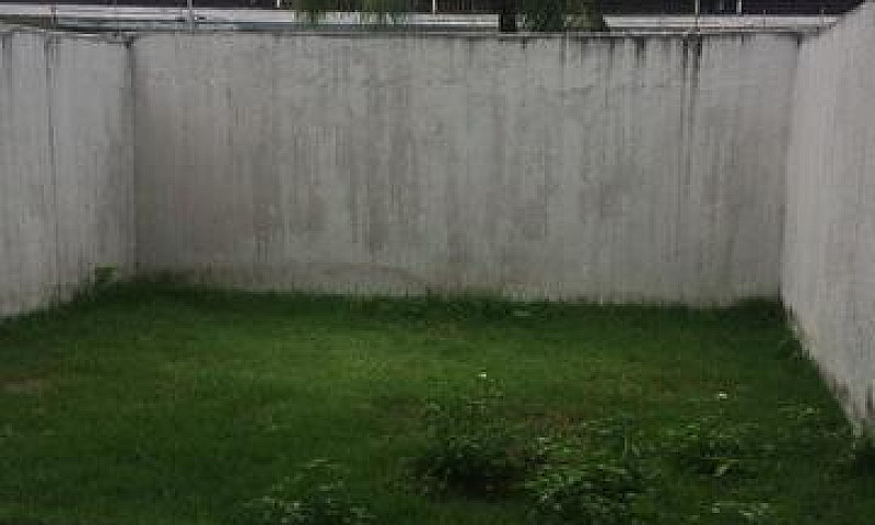 Campos Eliseos/Condo...