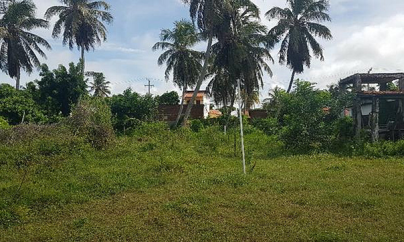 Terreno, Praia De Pi...