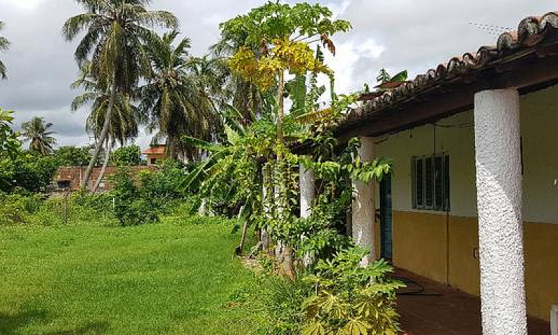 Terreno, Praia De Pi...