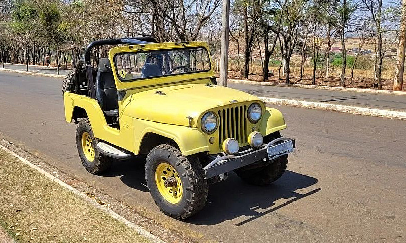 Jeep Willys 1959 Rai...