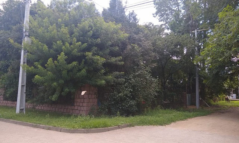 Casa No Lami...