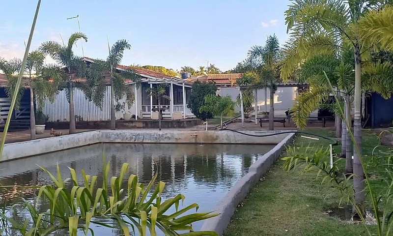 Aluga-Se Casas Em Pe...