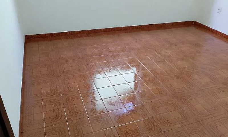 Apartamento Em Higie...