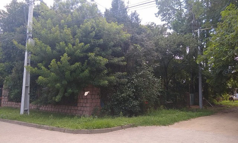 Casa No Lami...
