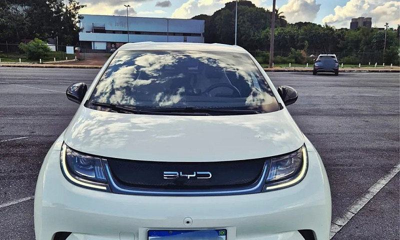 Byd Dolphin Ev (Elét...