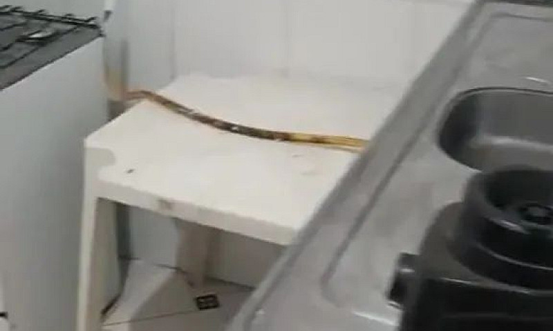Alugo Casa ...