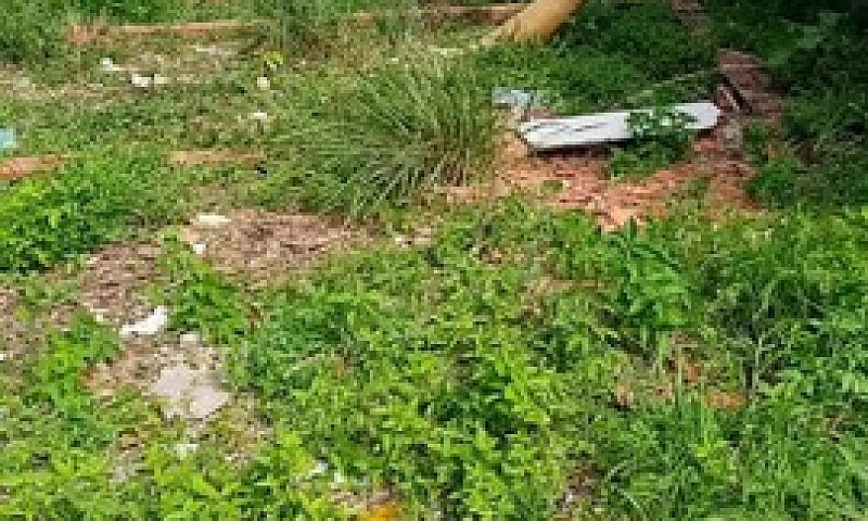 Vendo Casa E Terreno...