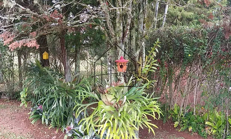 Casa Para Venda E Lo...