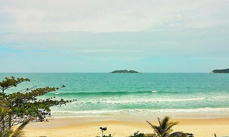 Tn- Excelente Aparta...