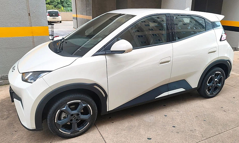 Byd Dolphin Mini (El...