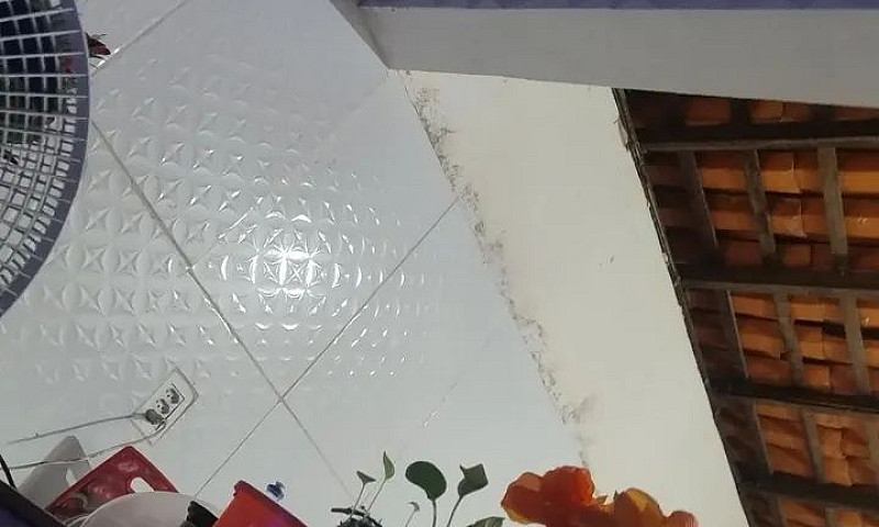 Alugo Uma Casa Na Av...
