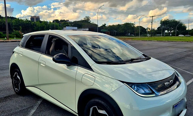 Byd Dolphin Ev (Elét...