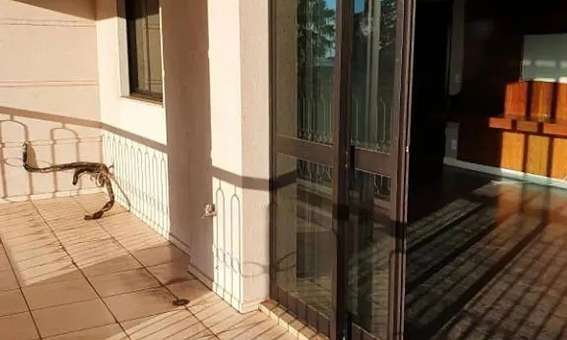 Apartamento Para Loc...