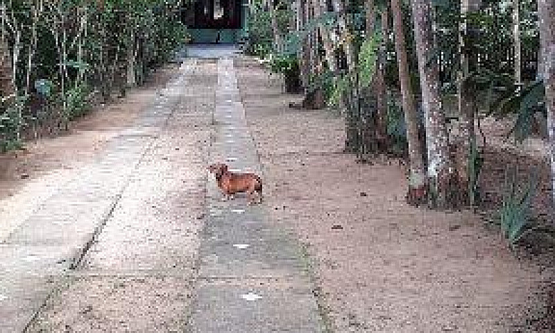 Casa Em Condomínio T...
