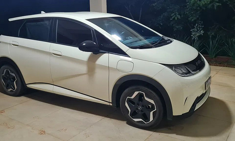 Byd Dolphin Ev (Elét...