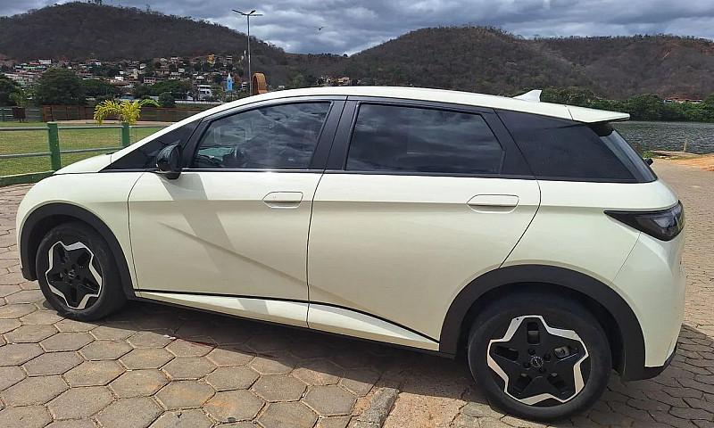 Byd Dolphin Ev (Elét...