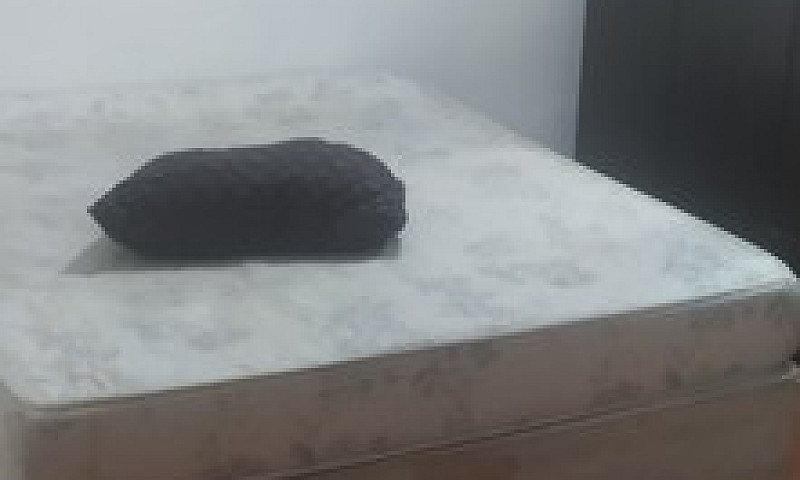 Alugo Quarto Para Mu...