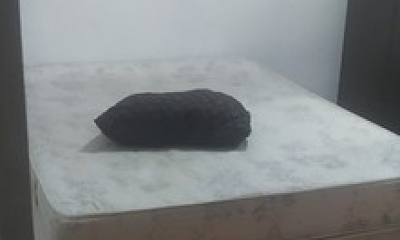 Alugo Quarto Para Mu...
